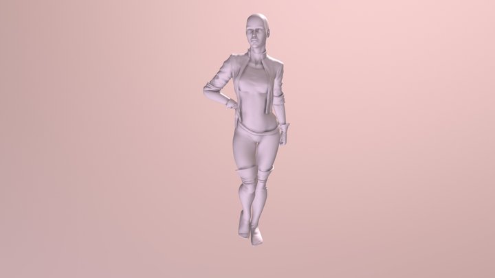Rouge Decimated 3D Model