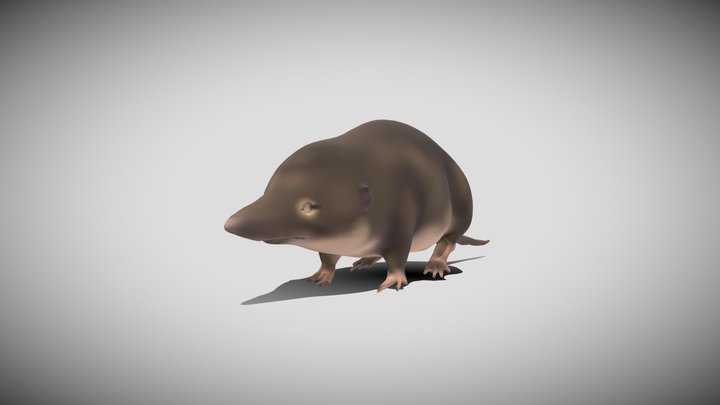 3D Model: Mammals - Lemming (Teacher-Made) - Twinkl