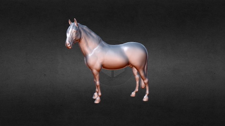Anonymous Horse 3D Model
