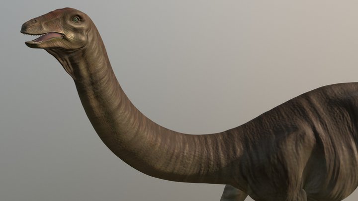 Apatosaurus 3D Model