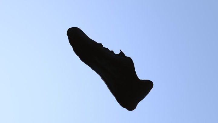 Shoe 3D Model