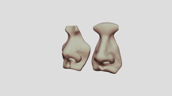 No ref, ref nose 3D Model