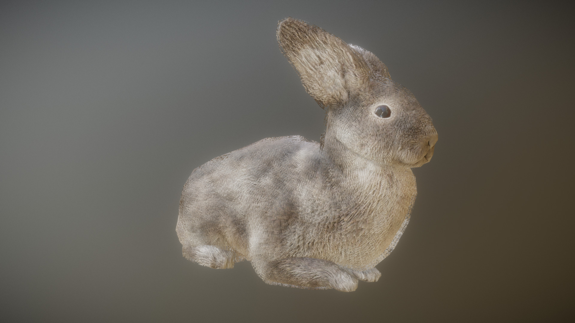 3D model RABBIT ANIMATIONS - This is a 3D model of the RABBIT ANIMATIONS. The 3D model is about a grey bunny rabbit.