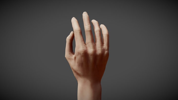 Rigged hand - Game model – Modello 3D gratuito STL