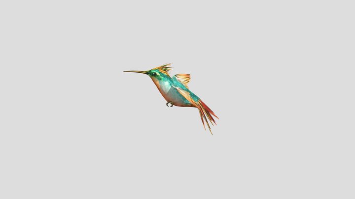 Hummingbird__Flying006 3D Model