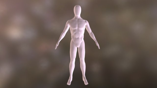 Male Base Mesh - Anatomy 3D Model