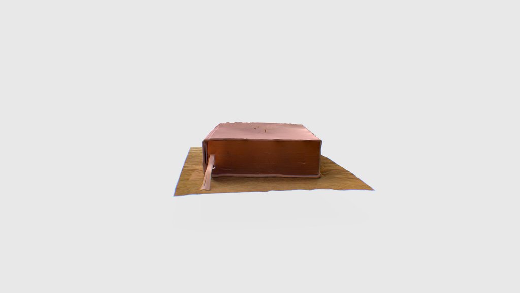 BU Time Capsule 2025: Bible by: Lisey Langhus