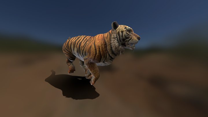 Running Tiger 3D Model