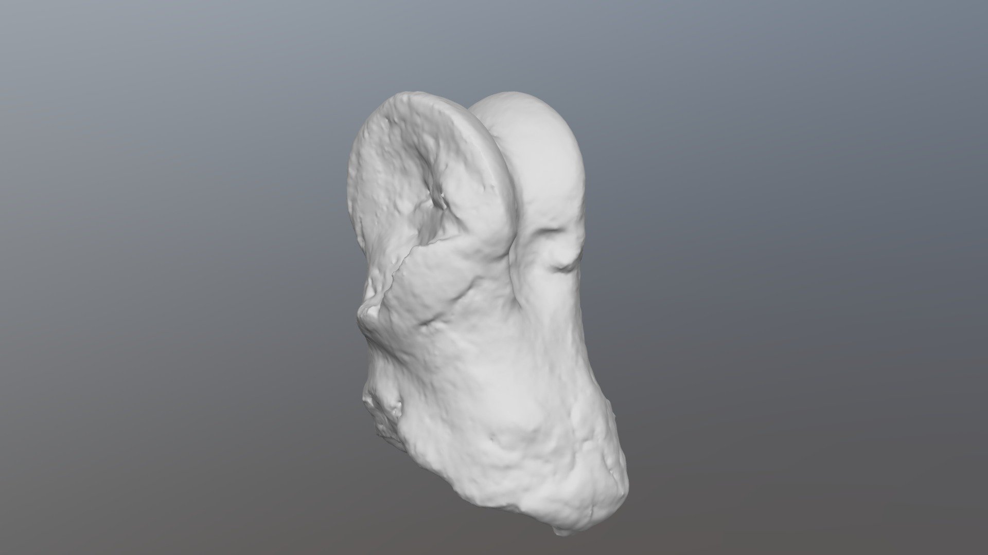 Megalonyx Phalanx (VCU_3D_1596)