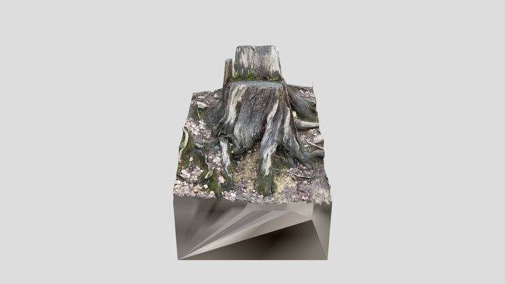 Tree Stump chair 3D Model