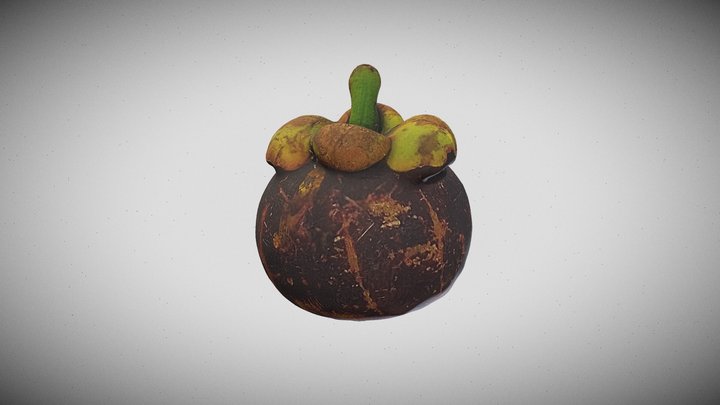 Mangosteen ( Photogrammetry ) 3D Model