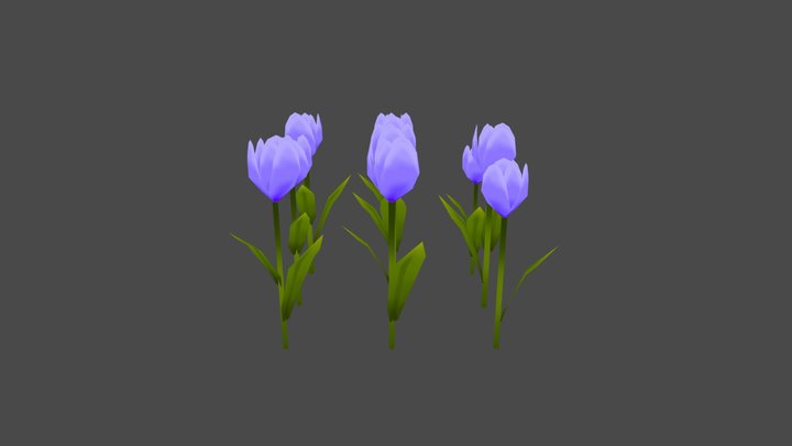 Violet Tulips 3D Model