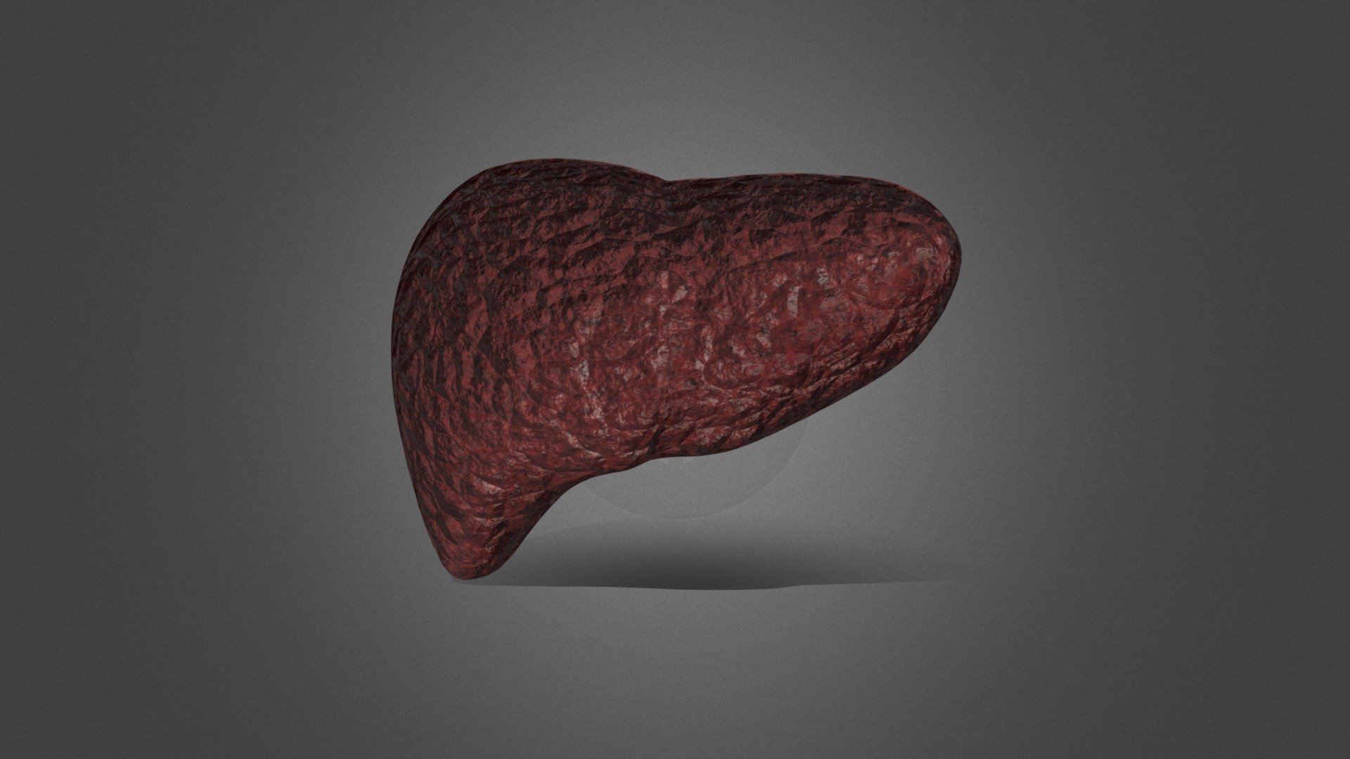 3Д модель печени - 3D model by BiologyEz12Mark [fc361d8] - Sketchfab