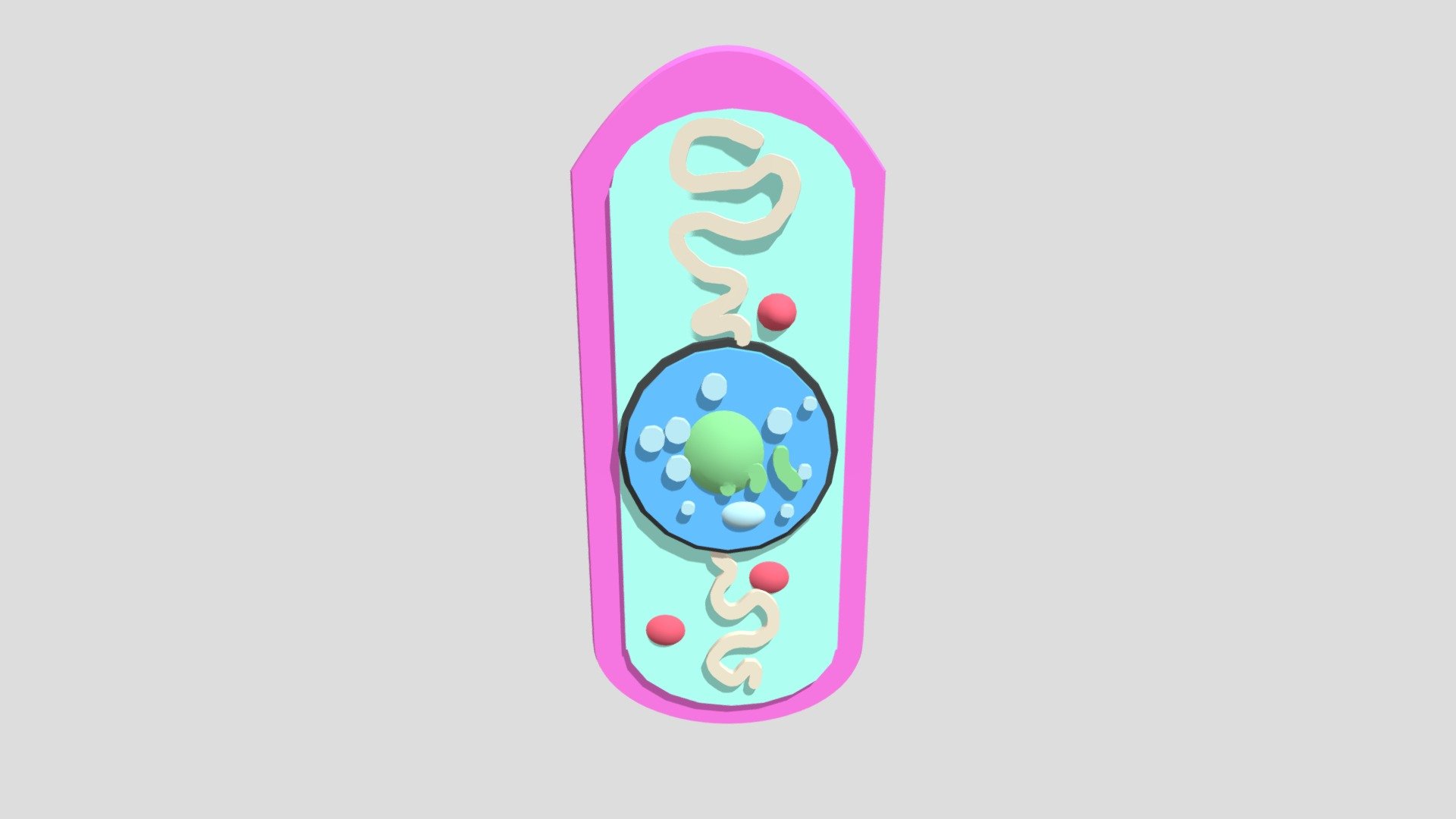 Microughs_antracisbacillus_aamemcorg