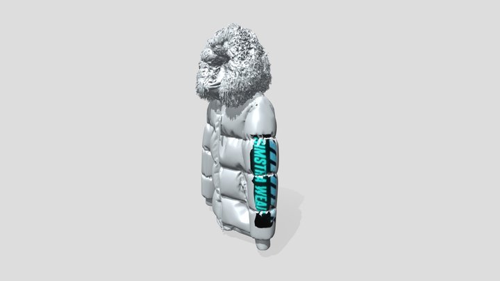 Puffer Arctic 3D Model