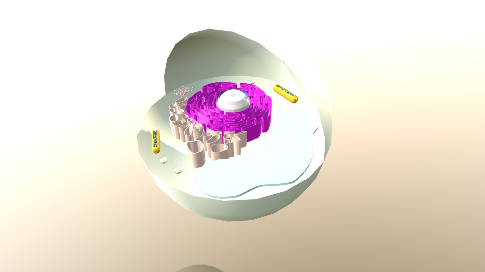 Cellula 3D