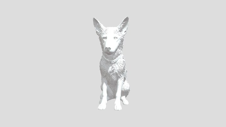 Husky