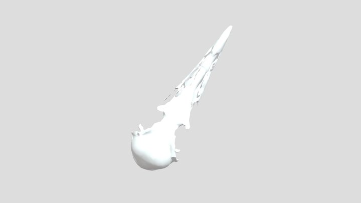 Larus delawarensis FMNH495258 Skull 3D Model