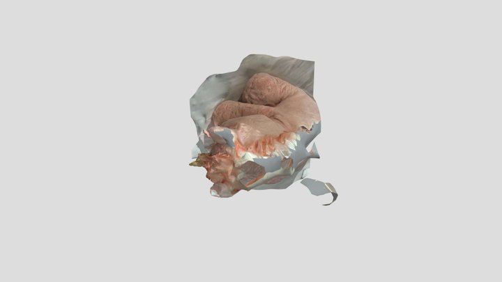 unicorn 3D Model
