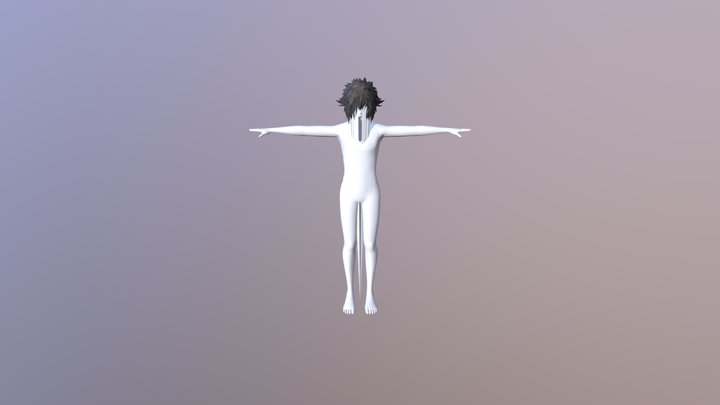Hairs 3D Model