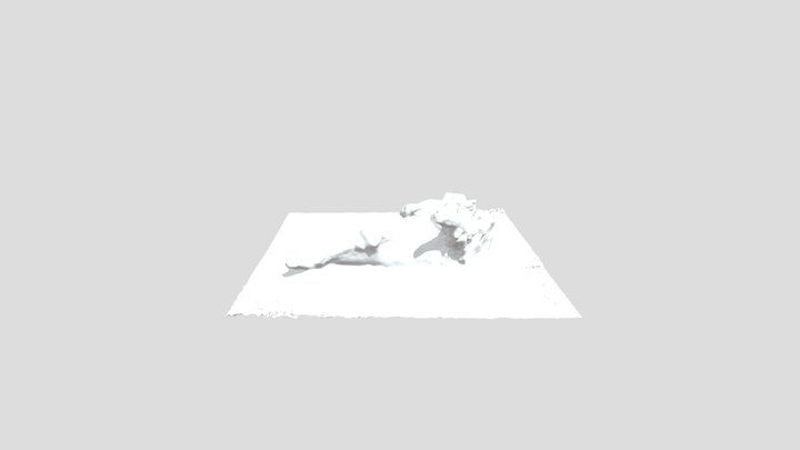 poly 3D Model