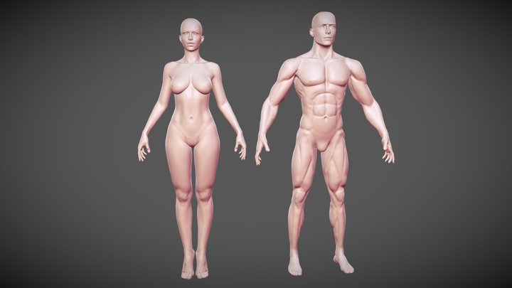 Realistic Male and Female Base Mesh 3D Model