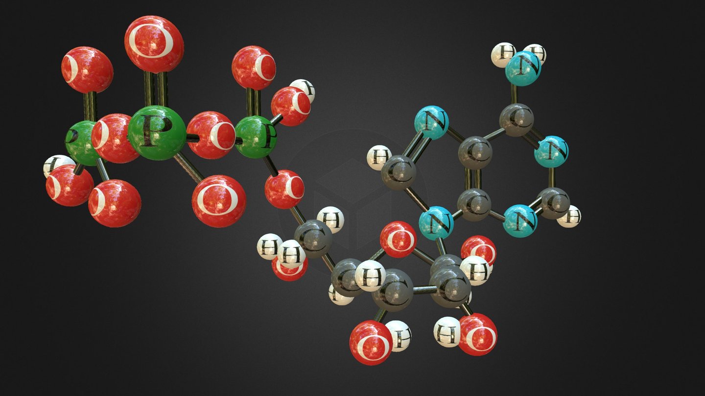 Adenosine triphosphate (ATP) - 3D model by Andy Todd (@atodd19) [fc44969]