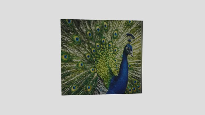 Peacock painting – Modello 3D gratuito STL