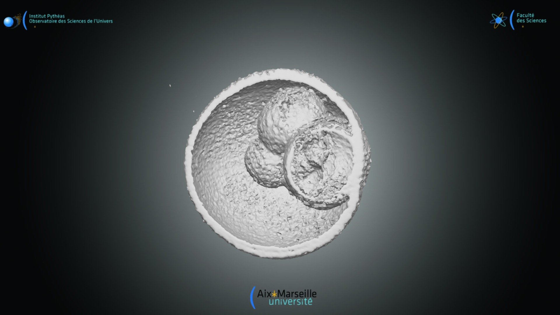 Foraminifera Orbulina universa Download Free 3D model by Secteur