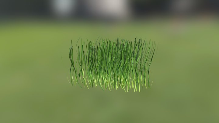 Eelgrass2 3D Model