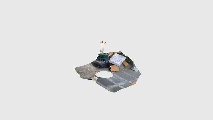 Scaniverse Model 3D Model