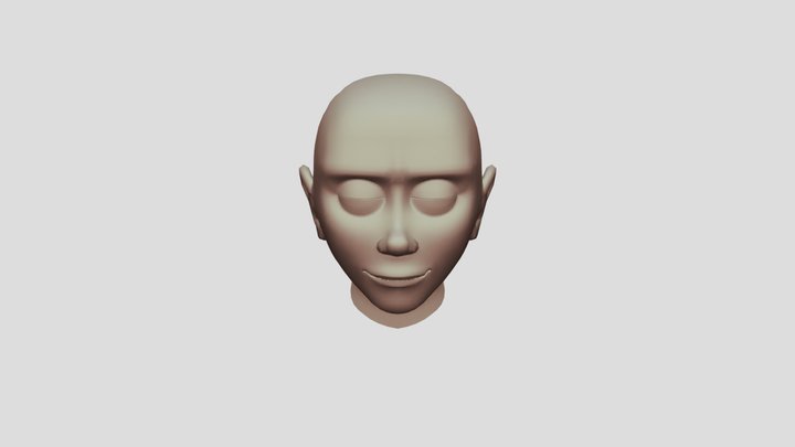 100653409 - Face Rig Animation 3D Model