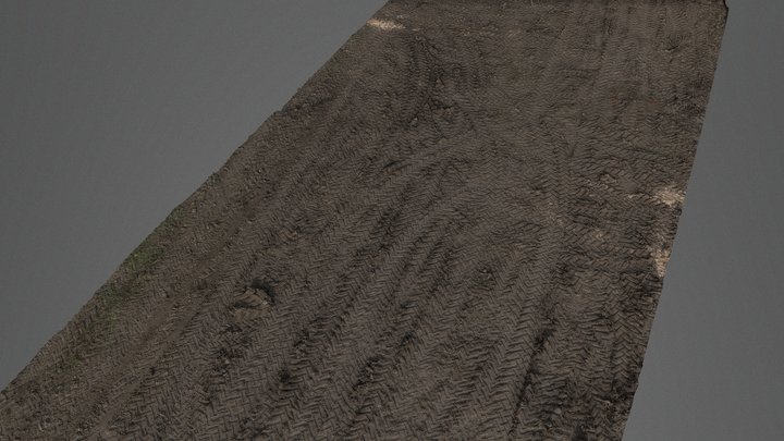 Field mud tracks 3D Model