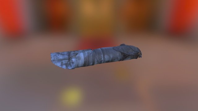 Mineshaft Inspection 3D Model