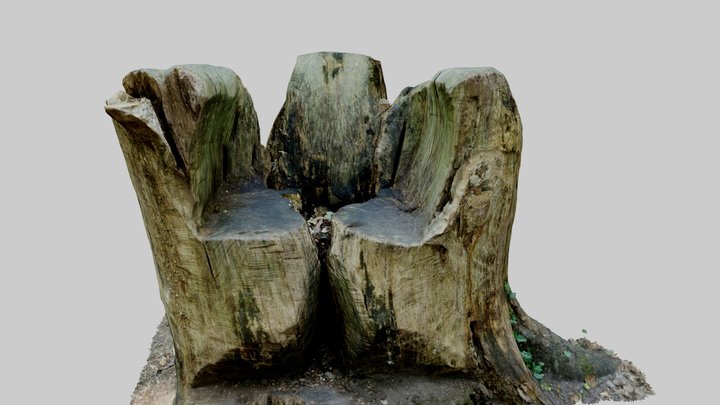 Wooden chair carved out of tree trunk 3D Model