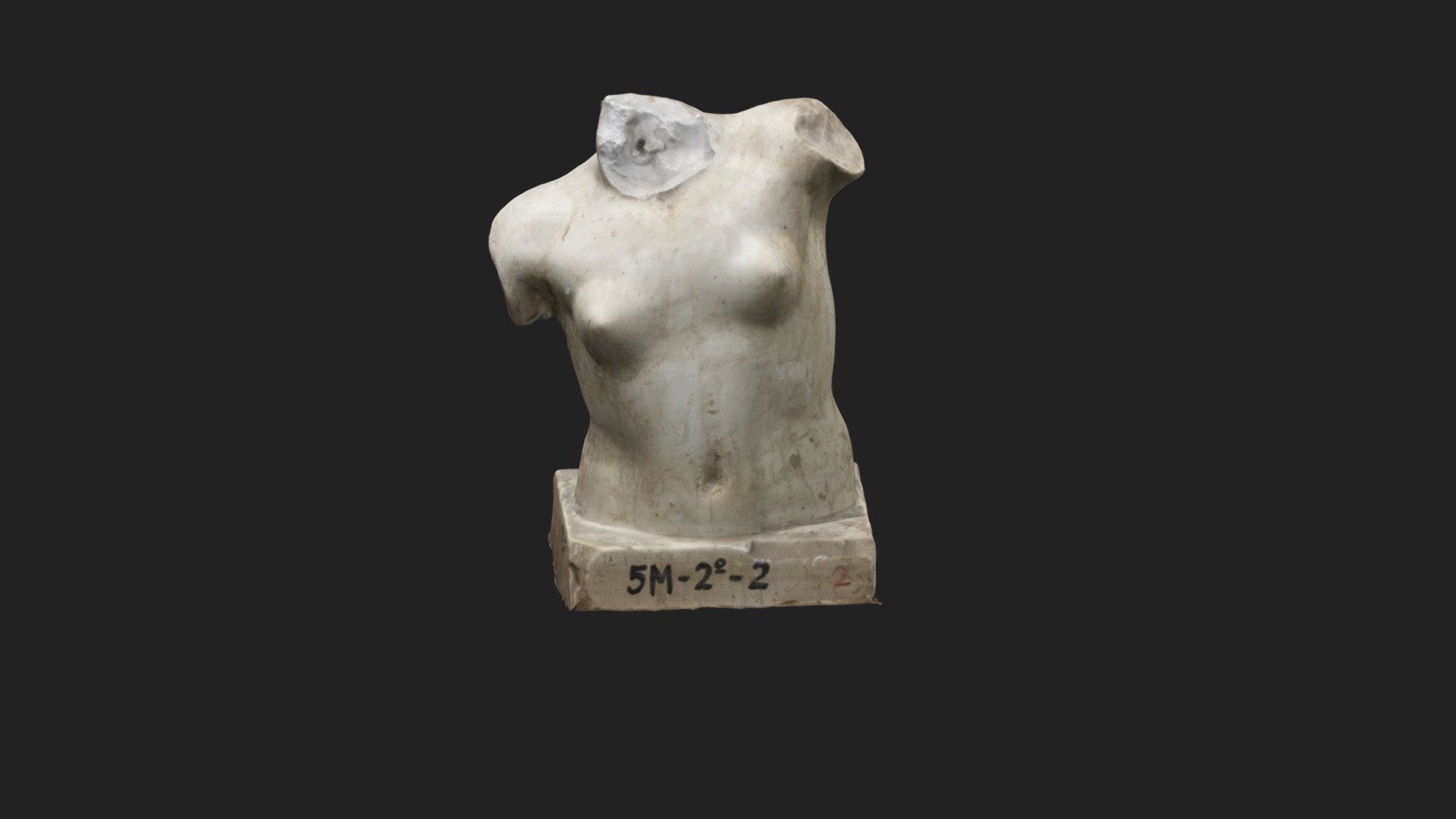 TORSO MUJER