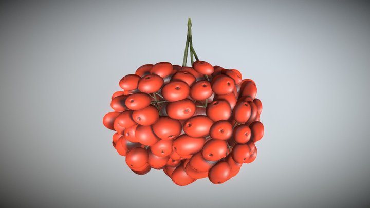 Rowan Berries Low-Poly 3D Model
