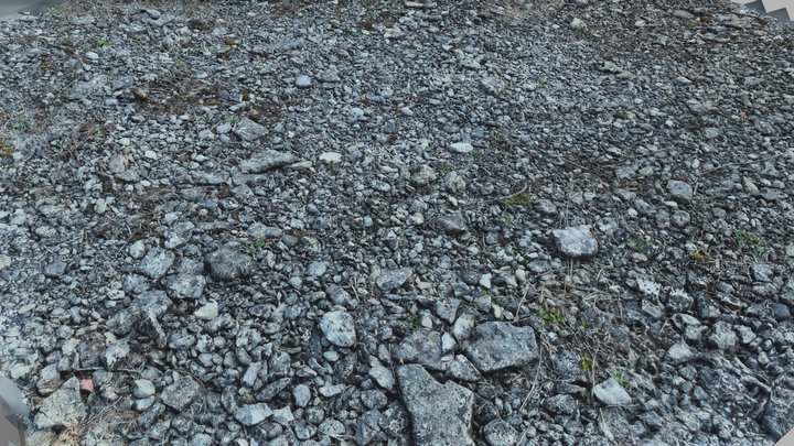 Gotland Gravel - RealityScan 3D Model