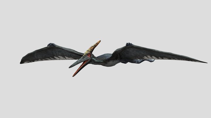 DracoWarrior's Male Pteranodon – Modello 3D gratuito STL