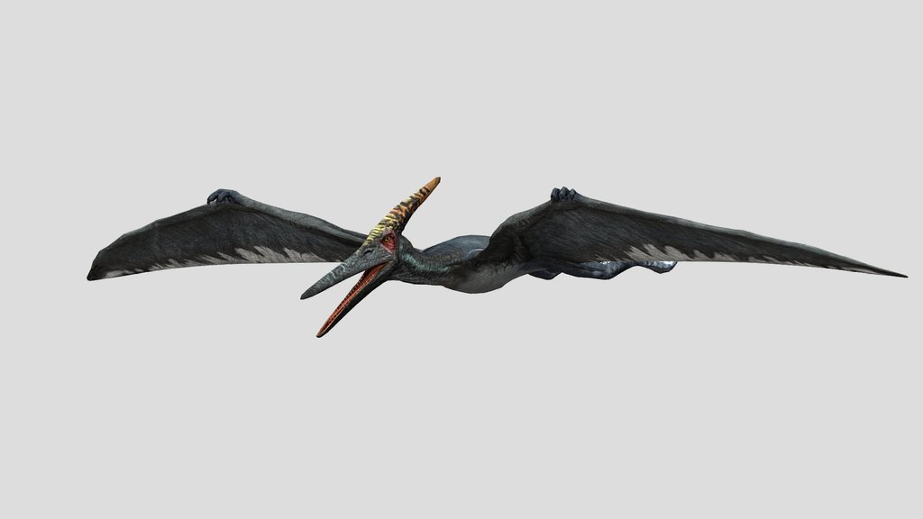 DracoWarrior's Male Pteranodon