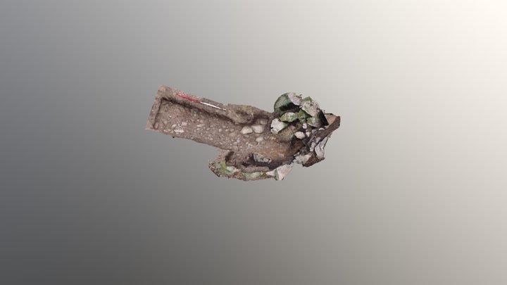 Tregaminion Chapel Spring Head 3D Model