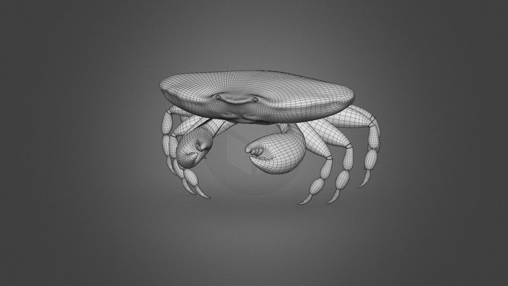 Crab Model 3D Model