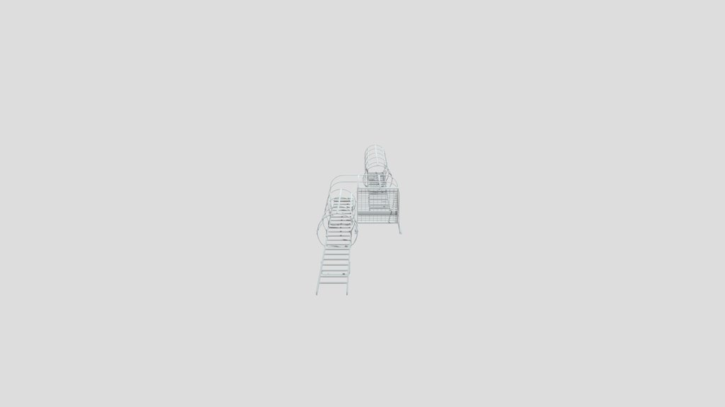 Exterior Ladder