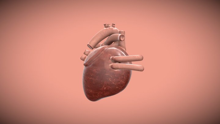 Corazon 3D Model