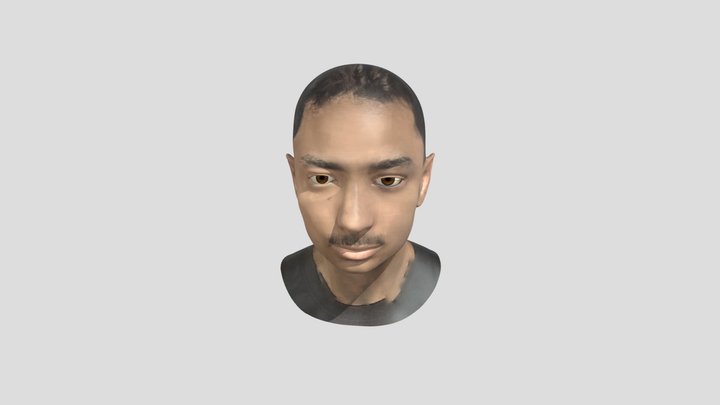 Bandr Head 3D Model