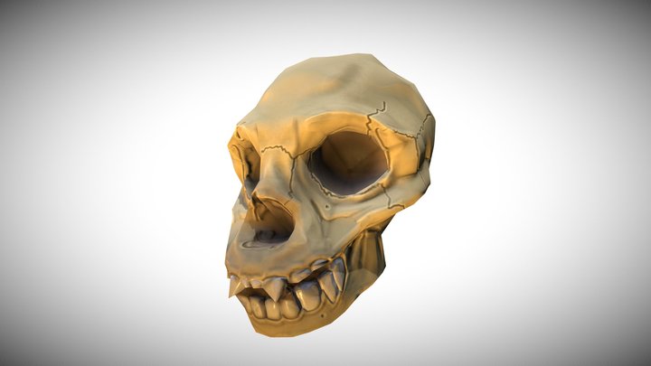 Monkey Skull 3D Model