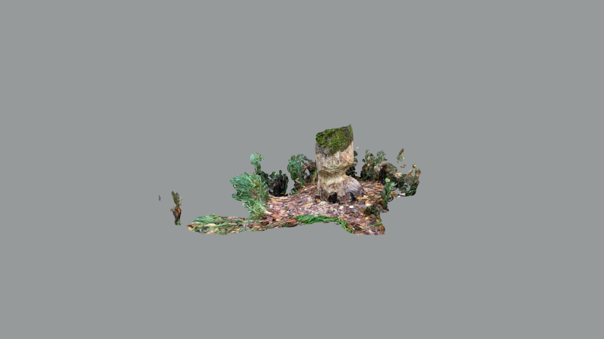 Tree 11-4-21