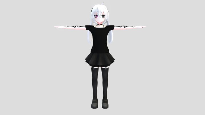 Reference 3D Model
