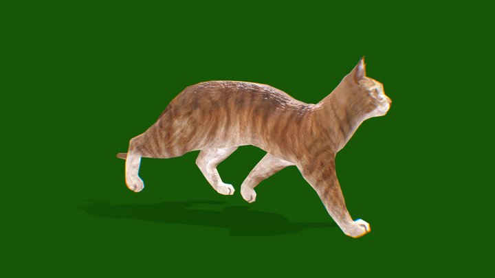 cat Walk 3D Model