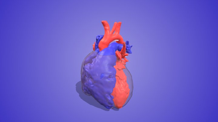 Normal Teenage Heart 3D Model
